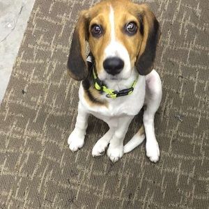 Meet your Posher, Charla